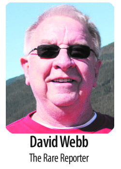 david-webb