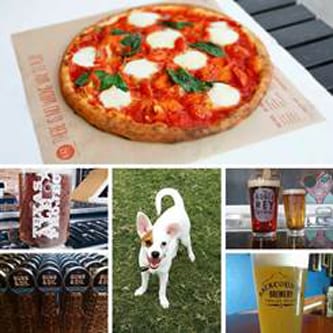 Beer and pizza going to the dogs