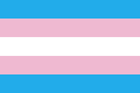 Trans Day of Visibility is a day of celebration