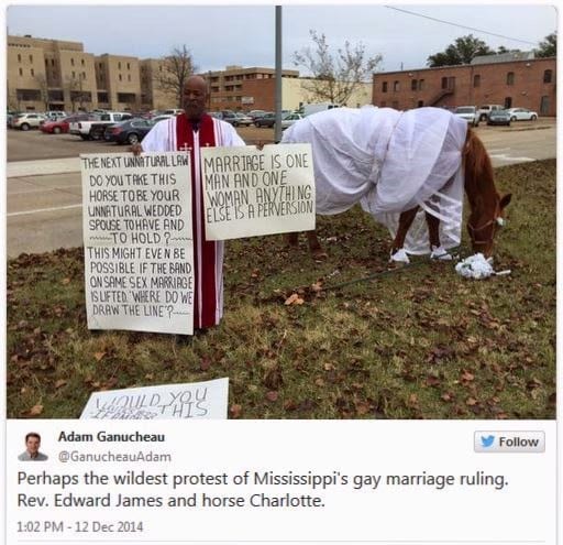 Mississippi pastor wants to marry his horse