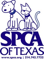 SPCA offering reward in animal cruelty case