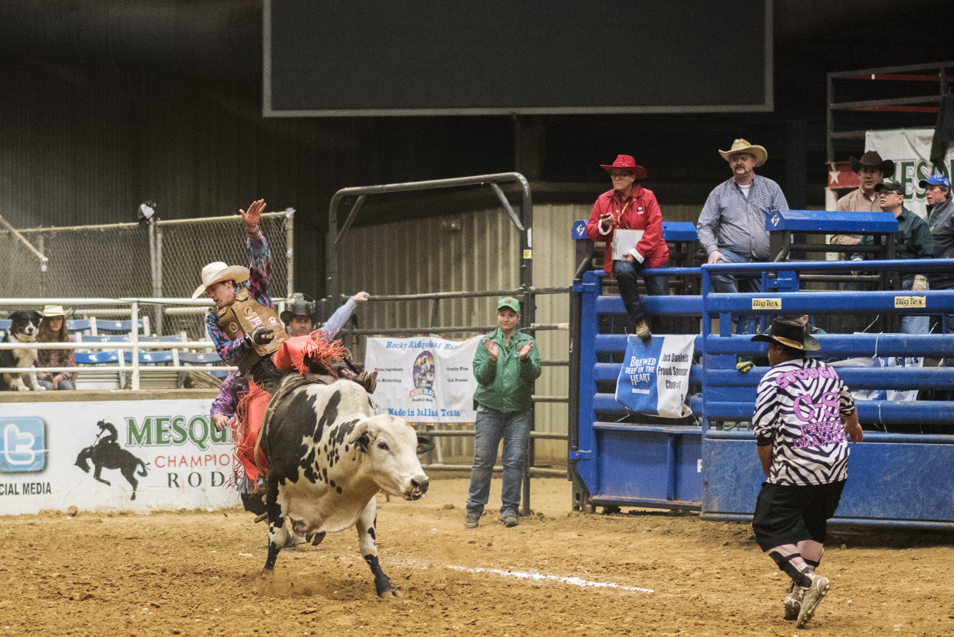PHOTOS TGRA’s 35th Annual Texas Traditions Rodeo (6 of 6) Dallas Voice