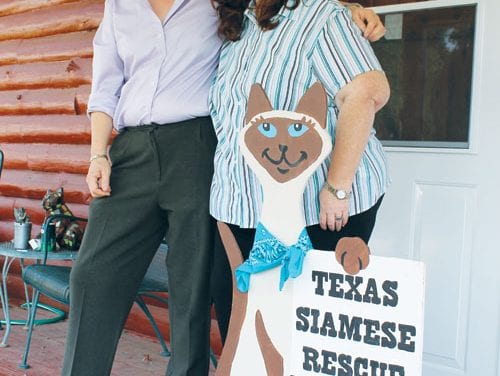 Lesbian-run Texas Siamese Rescue facing possible closure at year’s end