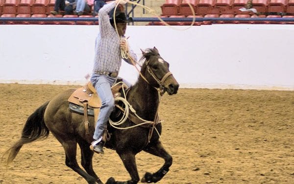 Rodeo coming back to Cowtown