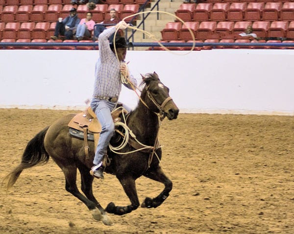 Rodeo coming back to Cowtown