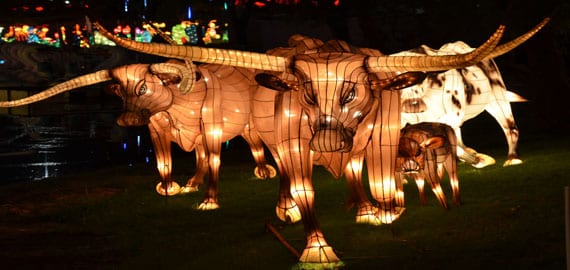 Chinese Lantern Festival at Fair Park