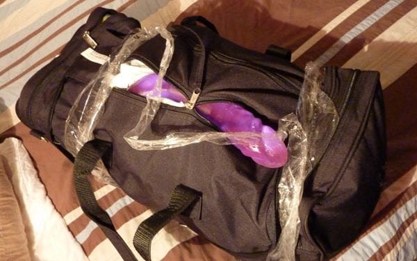 Gay couple sues United/Continental after dildo taped to top of checked bag