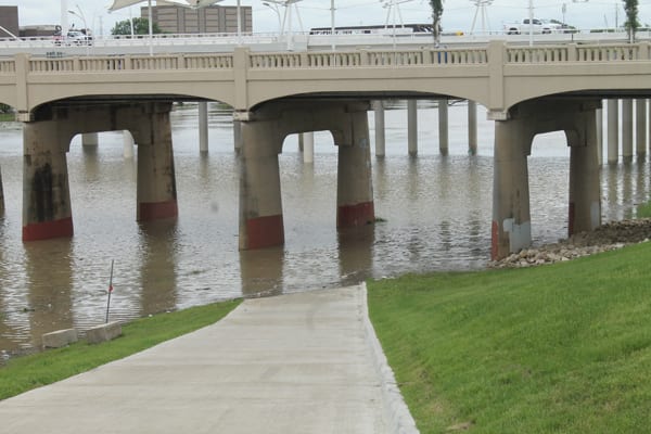 Why does Dallas City Council want to replace the trees growing in the river with a toll road?