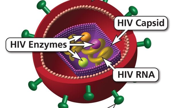 Once-a-month HIV treatment may be available next year