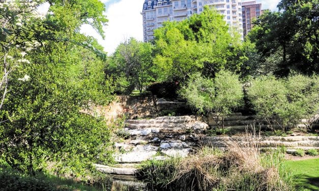 Turtle Creek Park is open for business