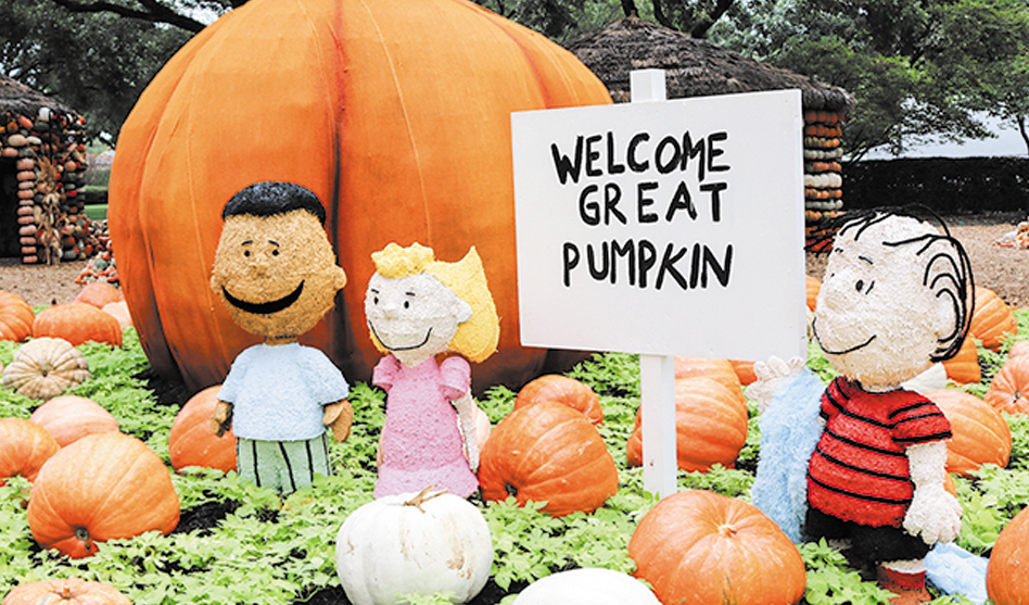 Pumpkin Village at Dallas Arboretum returns