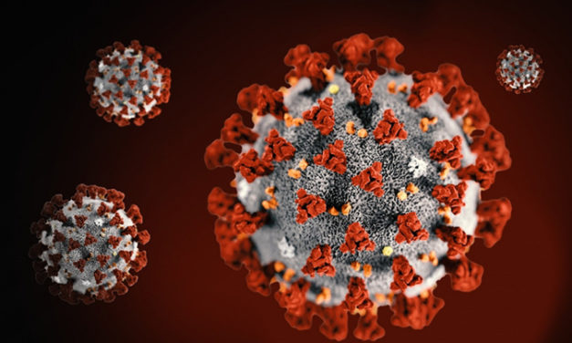 Coronavirus updates for the week of April 13