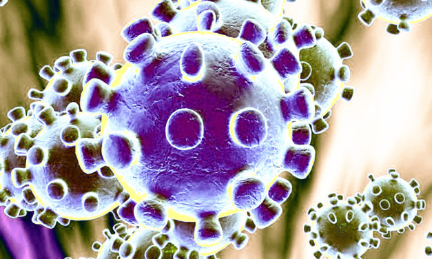 NEW: Coronavirus breaking news, updates and cancellations