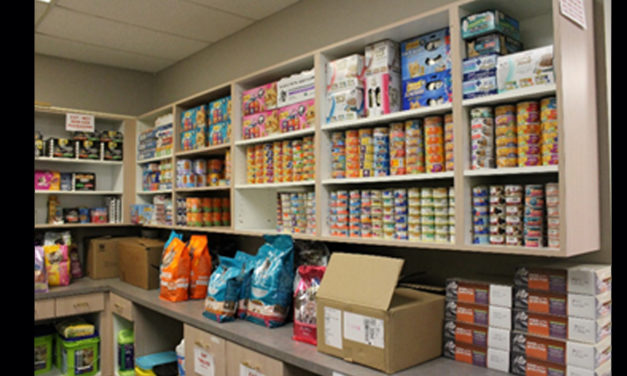 Operation Kindness animal shelter opening pet food pantry by appointment