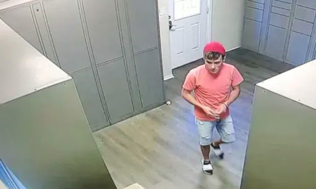 Police seek suspect in theft at Cedar Springs apartment complex
