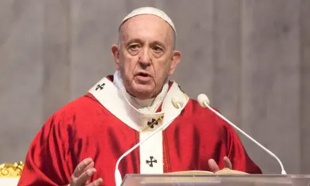 Pope apologizes for homophobic slur