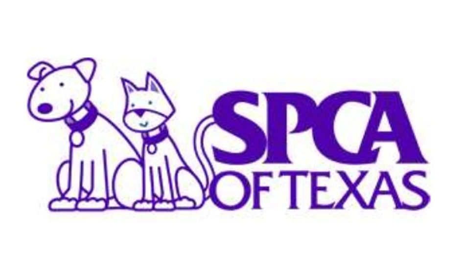 SPCA of Texas suspends all intakes and adoptions