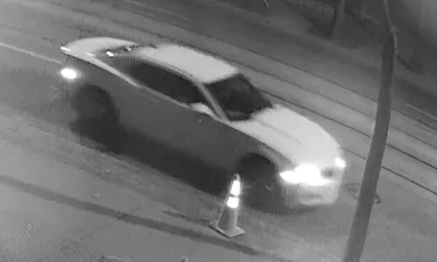 Police seek suspect in hit-and-run