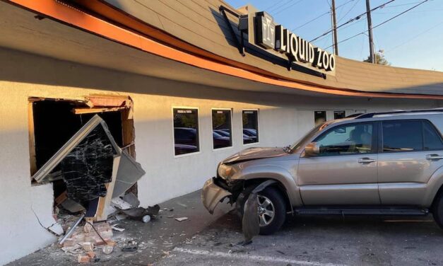 UPDATED: SUV crashes into Liquid Zoo