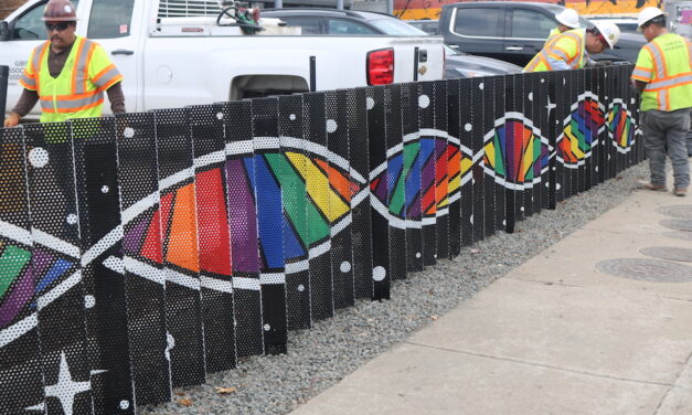 New installations add artistic touch to Cedar Springs