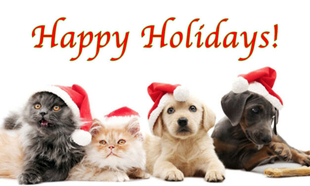 SPCA of Texas offers holiday pet safety tips