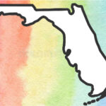 Federal court blocks Florida trans healthcare ban