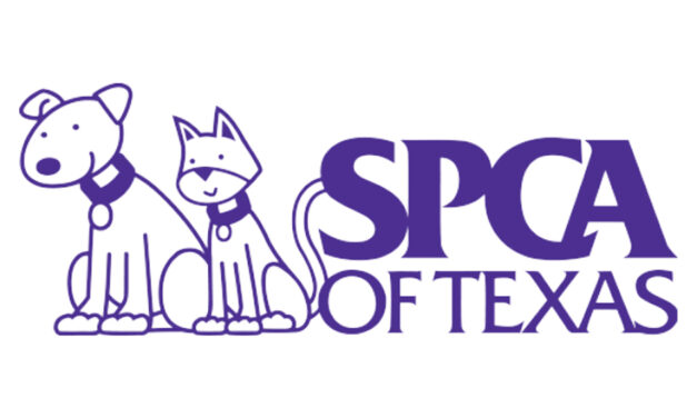 SPCA of Texas re-opens Jan Rees-Jones Animal Care Center; other facilities remain closed as distemper outbreak continues
