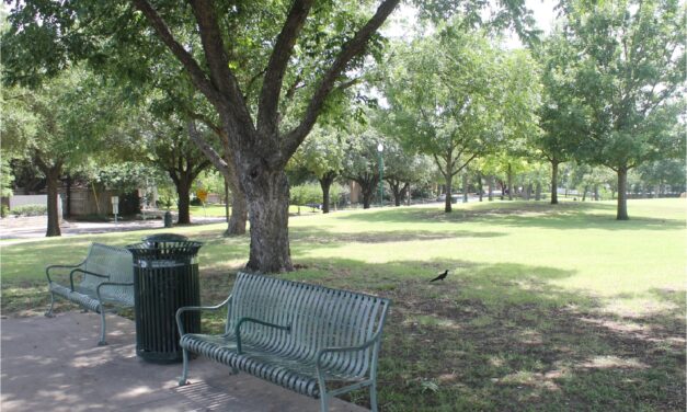 Fifty new trees to be planted at Craddock Park on Lemmon Ave.