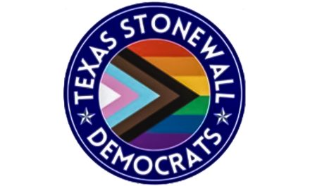 Stonewall Democrats honored at convention, send reps to national